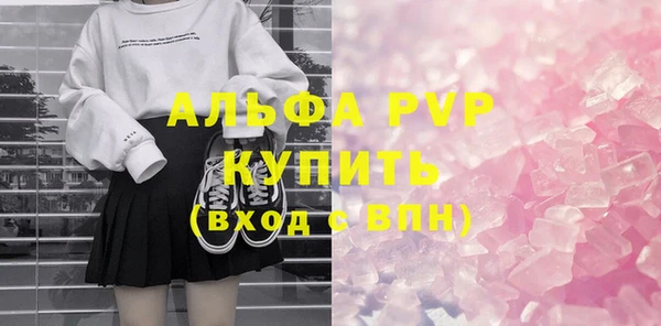 индика Белокуриха