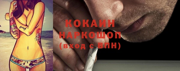 индика Белокуриха