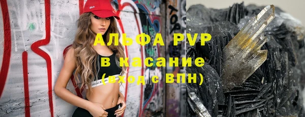 индика Белокуриха