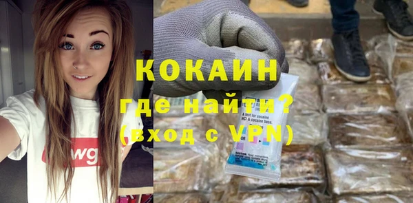 индика Белокуриха