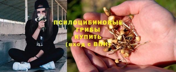 трава Богданович