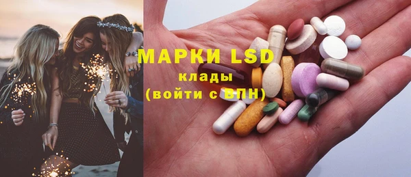 индика Белокуриха