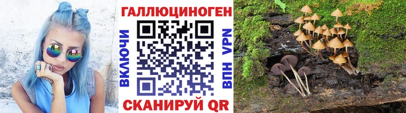 цена наркотик  Мосальск  Псилоцибиновые грибы Psilocybe 